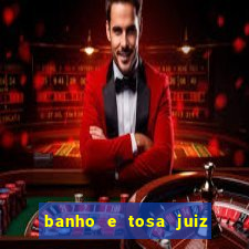 banho e tosa juiz de fora